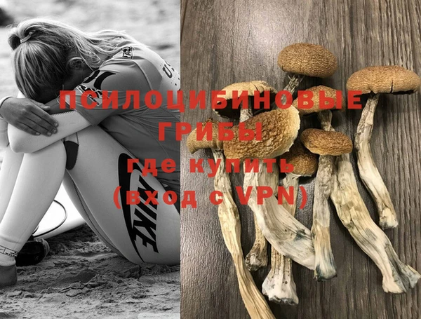 соль курить ск Алзамай