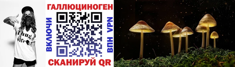где продают наркотики  Сосенский  Галлюциногенные грибы мухоморы 